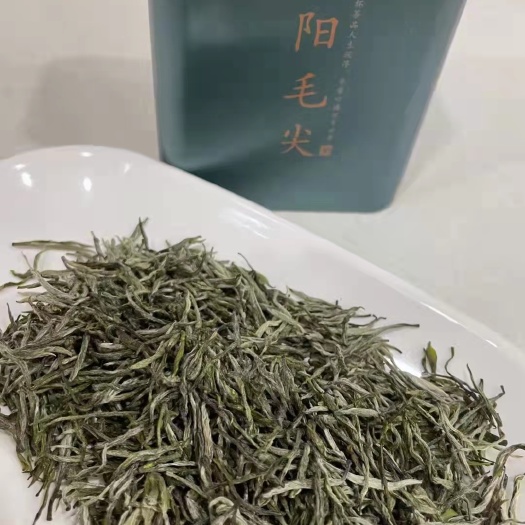 信阳毛尖茶 明前茶，雨前茶正在热销