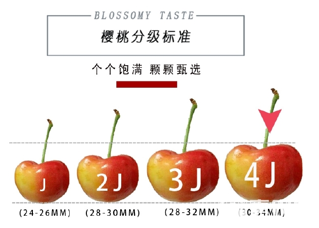 山东黄樱桃露天黄水晶黄色黄蜜黄金车厘子斤水果新鲜烟台大樱桃