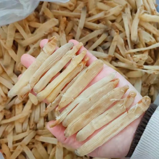 北海沙虫干
