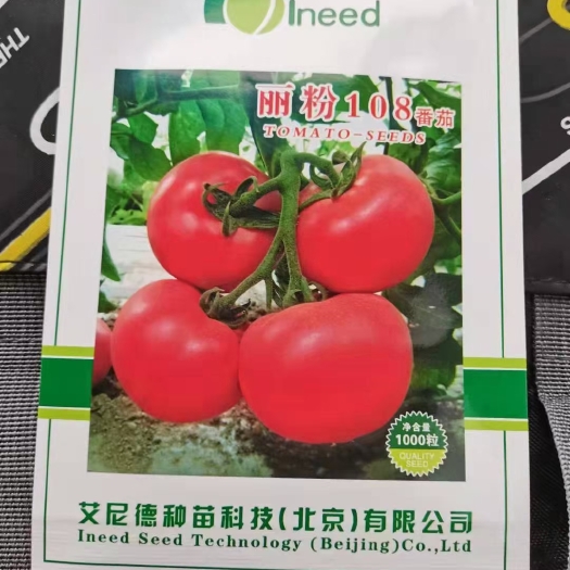 寿光市粉果番茄种子  产量大，硬度强，亮度高，果型好，抗病强，批发