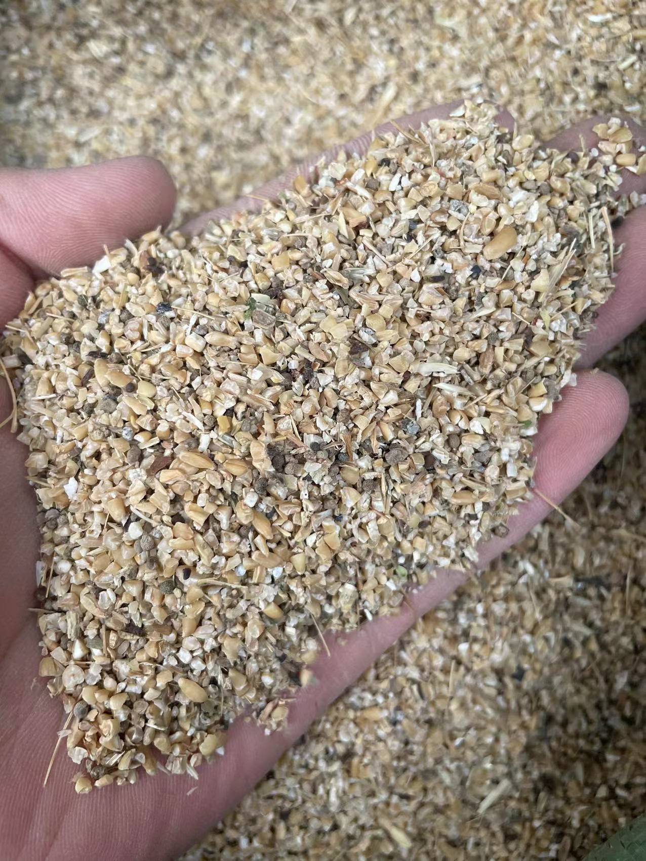 碎麦 碎小麦、小麦下角料、小麦漏、小麦碎