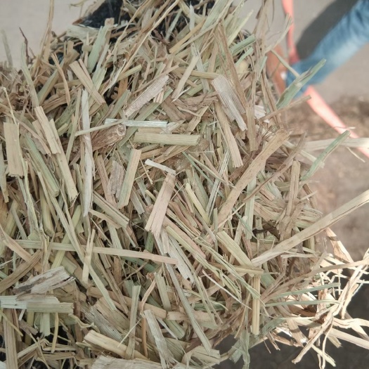 金乡县稻草，原草，柔丝粉碎小方捆，大方捆稻草，无土无杂质无霉变