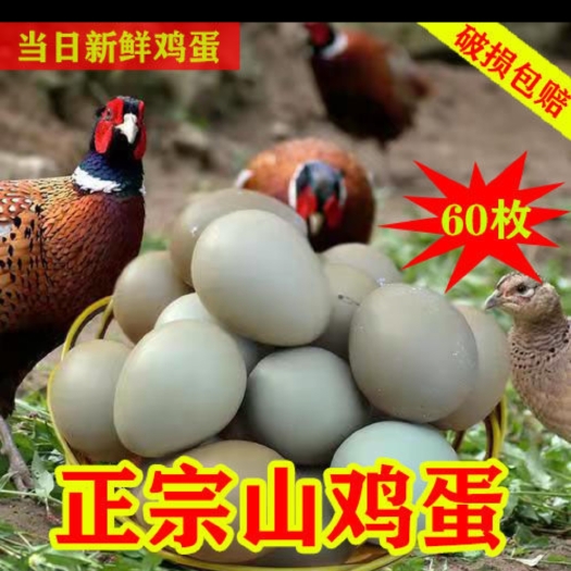 济南七彩山鸡蛋，，保证新鲜，破损包赔，生鲜食品，快递发货