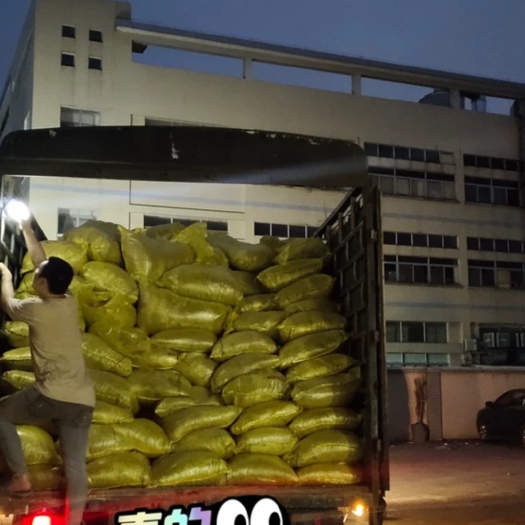 东莞市糟渣类饲料 新鲜脱水豆腐渣可以喂猪牛羊等。价格便宜营养丰富