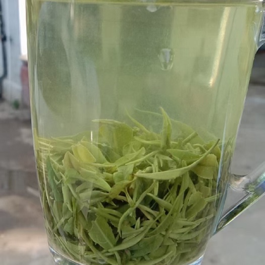 信阳毛尖茶  信阳毛尖绿茶 茶自产自销