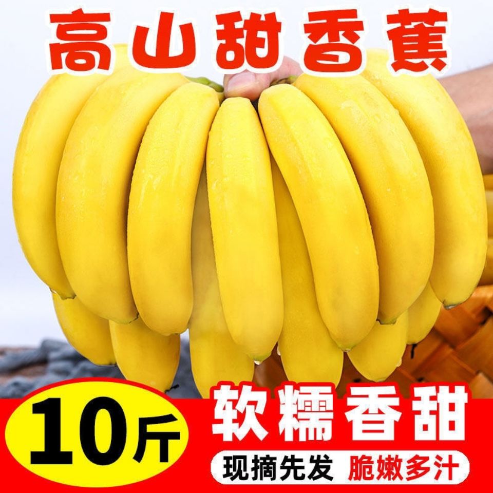 云南香蕉现砍当季水果果园直销包邮