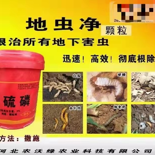 曲周县辛硫磷 地虫净