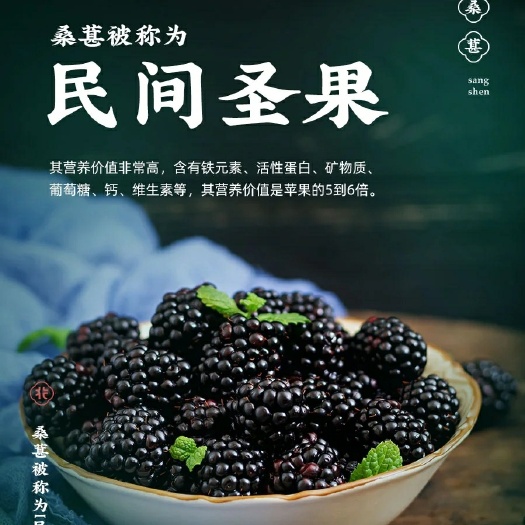 盐边县黑桑葚 攀枝花黑桑椹