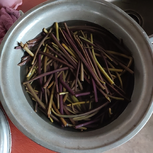 寻甸县蕨菜 这种菜是山里的野菜，土生土长的。很健康，用来凉拌和炒腊肉很好