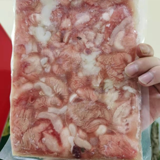郑州青鱼 清鱼肚