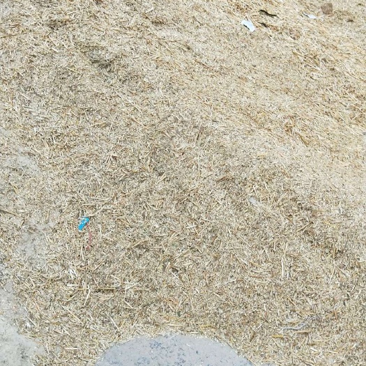 鱼台县麦糠