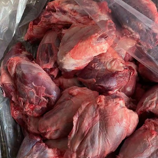 商丘猪肉类  生猪 母猪前健54000一吨（27一斤）