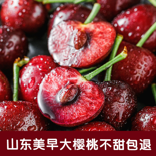 临朐县美早樱桃 自家果园直发山东大樱桃