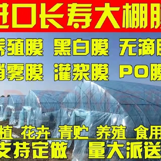 天津 大棚膜透明膜黑白膜