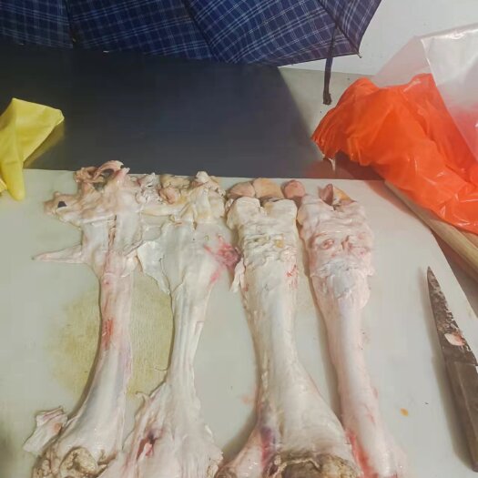 郑州 牛蹄筋，副筋