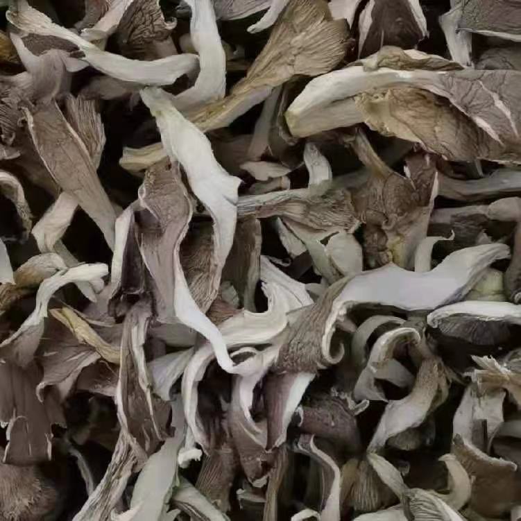 邯郸干平菇  蘑菇