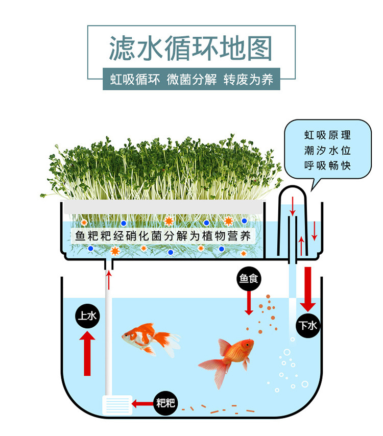 穴盘/育苗盘 芽苗菜育苗盘鱼菜共生水族箱养鱼种花种菜