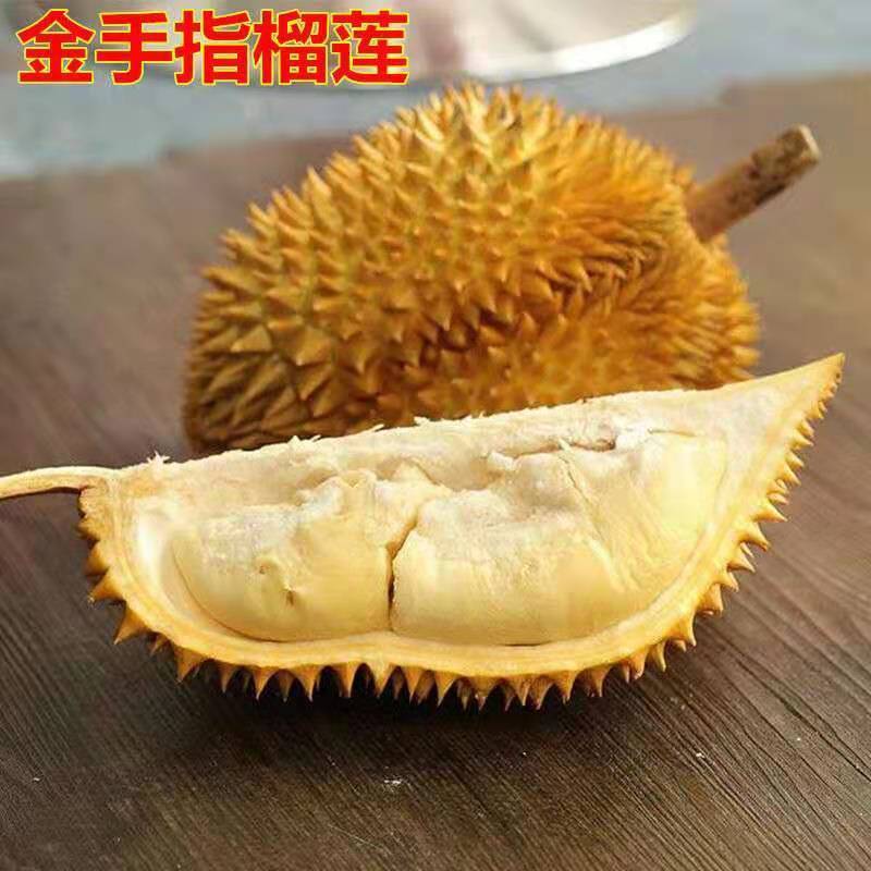 ļ޽ӹԵԽͷϱֲ