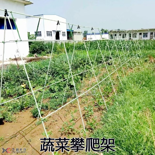 东莞市爬藤架 花卉育苗 茄子定植杆 辣椒定植杆 可取代竹竿 木制品