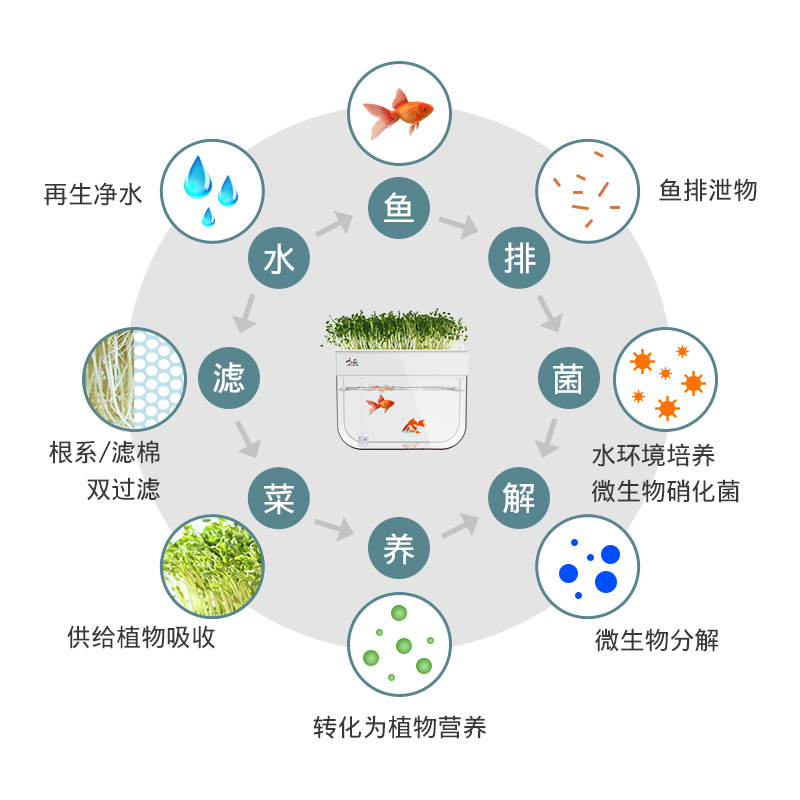 穴盘/育苗盘 芽苗菜育苗盘鱼菜共生水族箱养鱼种花种菜