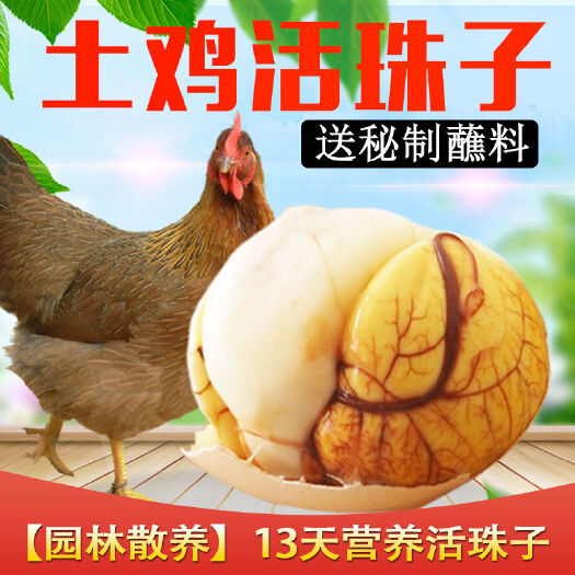 襄樊毛蛋 【土鸡蛋和洋鸡蛋】五香味活珠子新鲜13天即食熟毛鸡蛋