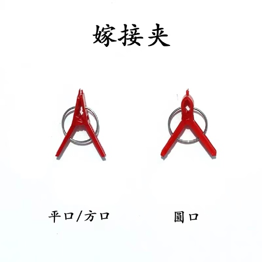 寿光市嫁接夹