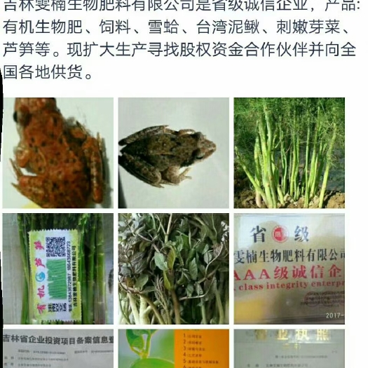洮南市绿芦笋 有机养生产品，鲜、干雪蛤及油。芦笋。刺老芽等。