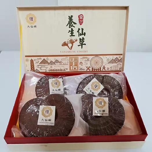 乳源县纯紫灵芝 黑灵芝 粤北韶关乳源瑶族深山 产地直销