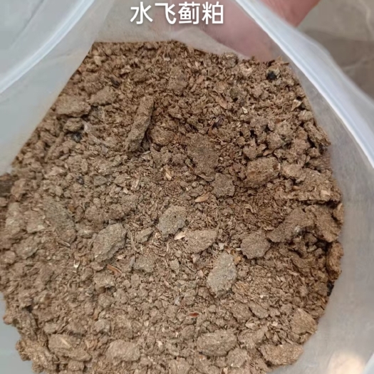 石家庄 烘干水飞蓟粕