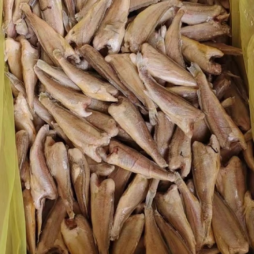 高碑店市小黄鱼 黄花鱼东海去头小黄花