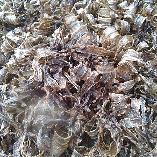 涟水县地龙 蚯蚓干