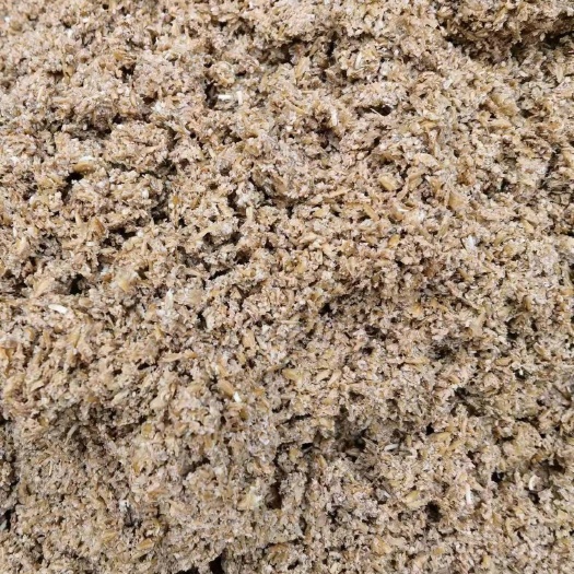 肇庆啤酒糟 水分不大 日产350吨左右  一手货源 长期供应