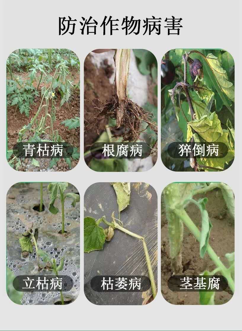 甲霜恶霉灵  30%甲霜灵噁霉灵农药立枯根腐病枯萎病青枯病死