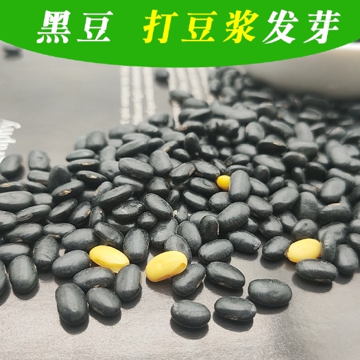 黄仁黑豆   扁黑豆，2024新扁黑豆，打豆浆，生芽黑豆，袋