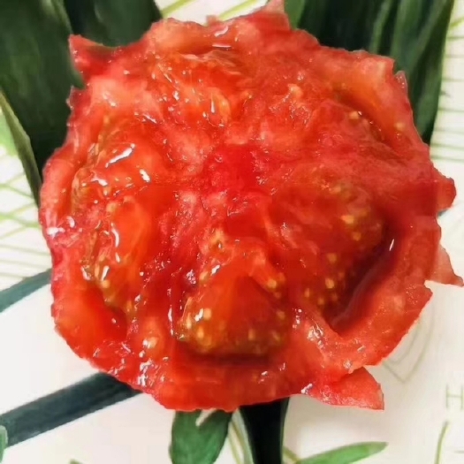 望都县水果西红柿，儿时的味道