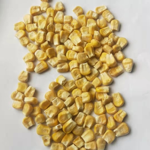 唐山冻干玉米粒 FD玉米 冻干玉米批发