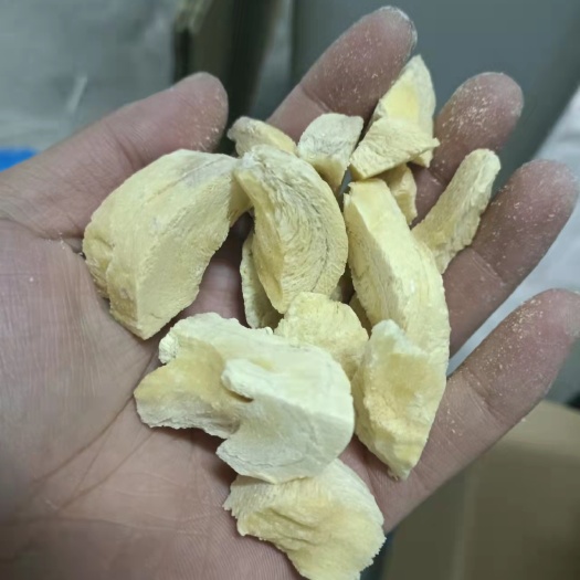 唐山冻干榴莲干 FD榴莲干