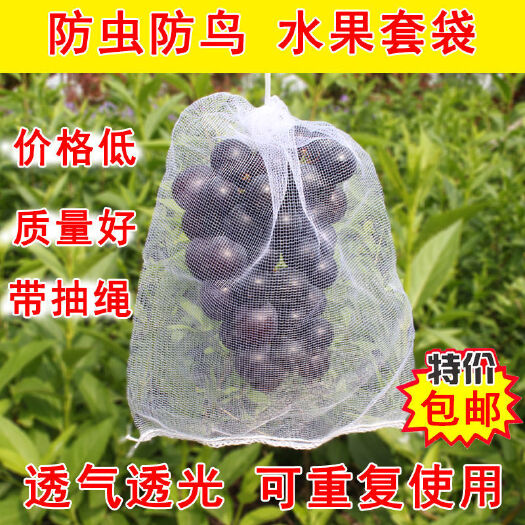 义乌市种植套袋 枇杷葡萄套袋防虫防鸟网袋透气保护袋