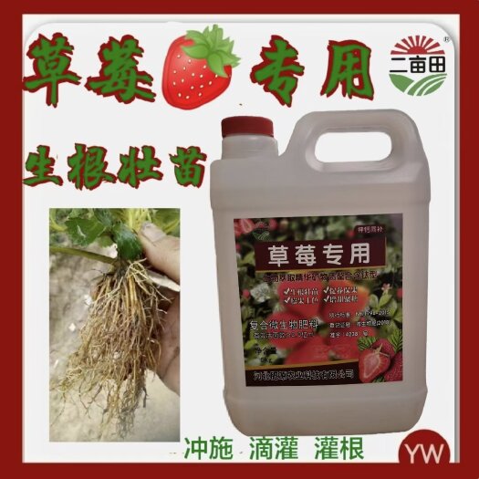 邯郸草莓专用肥