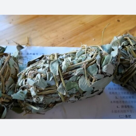 南宁广金钱草扎把
