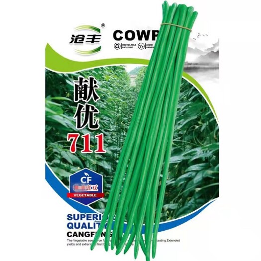 献县油豆角种子  豆角 沧丰牌系列豇豆，翠绿色，肉厚条长，商品性好