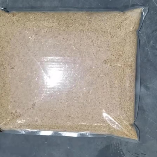  蝇蛆