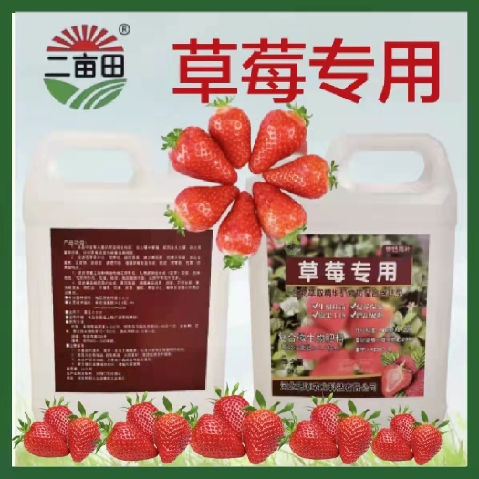 邯郸草莓专用矿物质螯合钛水溶肥 NY798标准