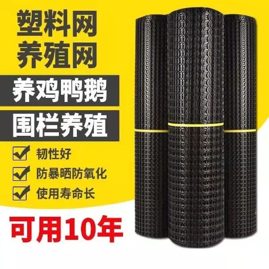 塑料围栏网  塑料养殖网鸡鸭鹅漏粪网围栏网防护网大棚防雨水网