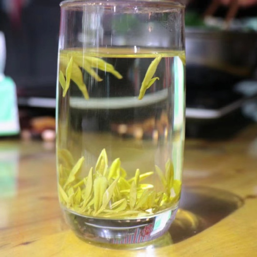 峨眉山市 2025年新茶黄金茶 明前峨眉特级黄芽峨眉绿茶自产自销