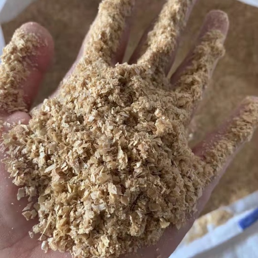 石家庄糠麸 麸皮