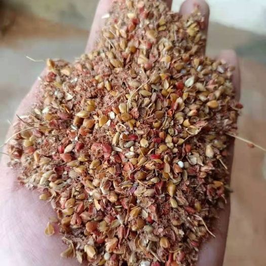 正定县禾谷饲料 内蒙高粱糠，含碎粮，烘干过夏，干净无土，性价比高
