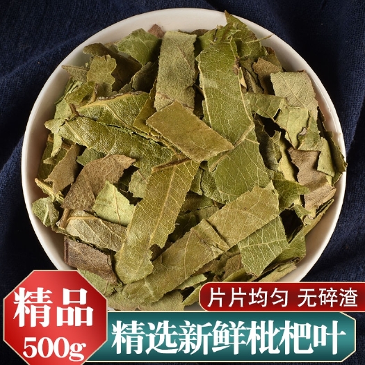 亳州【正品】枇杷叶中药材500g琵琶叶批把叶干枇杷叶泡茶搭胖大