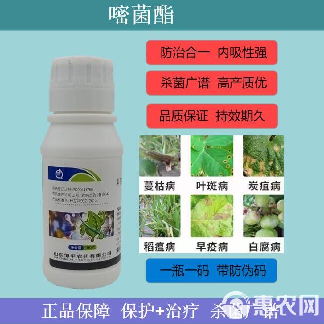 嘧菌酯叶斑病白粉病锈病纹枯病农用杀菌剂厂家直销