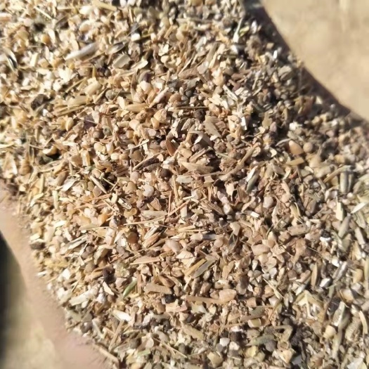 正定县碎麦 碎小麦（草籽麦)，厂家一手货源，干净整齐，量大从优